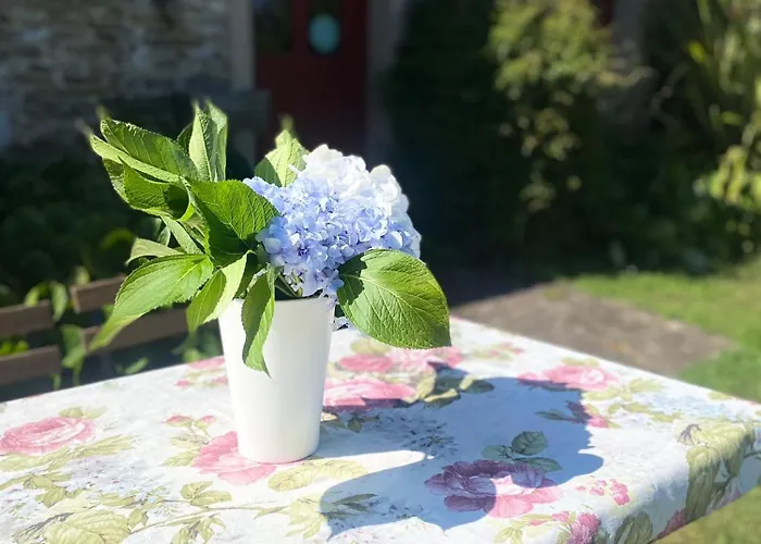 Aldea A Painza Gospodarstwo wiejskie Arzúa